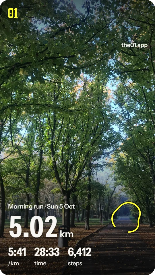 Run share card: a path at sunrise, 5.02 km, 5:41 per km, 28:33, 6,412 steps and the route in yellow.